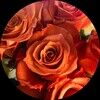 mrspsingh